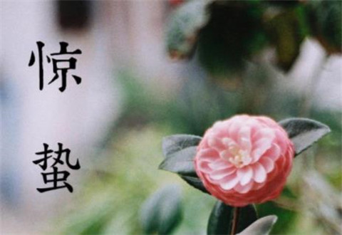 今日惊蛰!2020惊蛰是几点几分 惊蛰有哪些习俗禁忌?惊蛰节气朋友圈说说精美图片大全