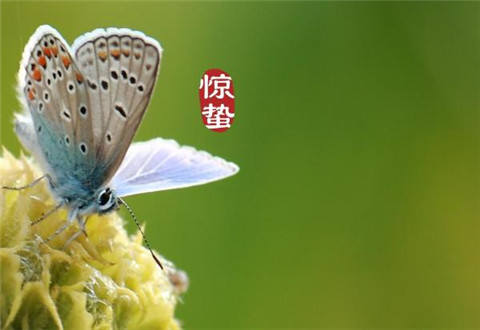 今日惊蛰!2020惊蛰是几点几分 惊蛰有哪些习俗禁忌?惊蛰节气朋友圈说说精美图片大全