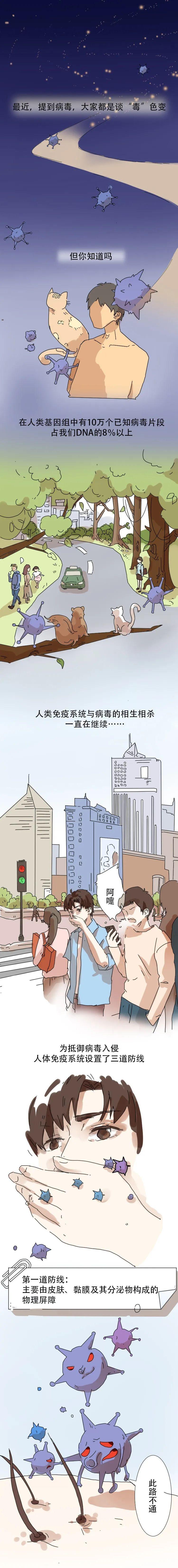 最萌手绘长图告诉你，免疫细胞和病毒战斗全过程！