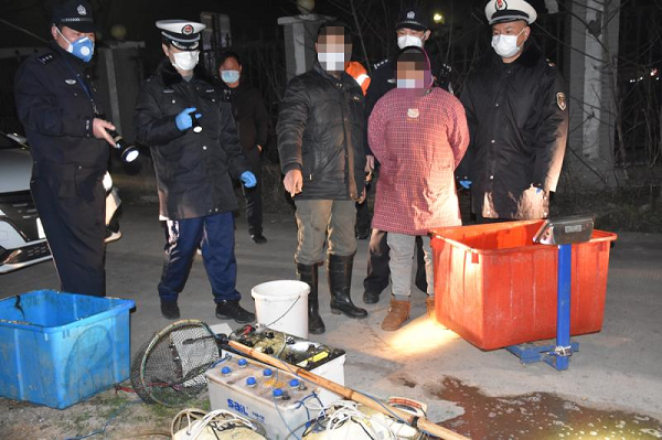 这对夫妻胆太大!用电捕鱼24公斤被刑拘,系崇明今年首起