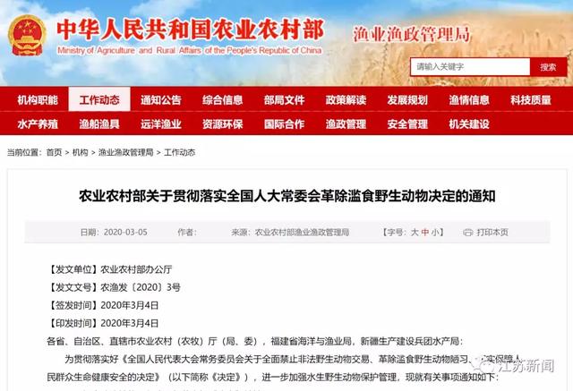 南京闹市区惊现野猪：景观河游泳 还多次强闯小