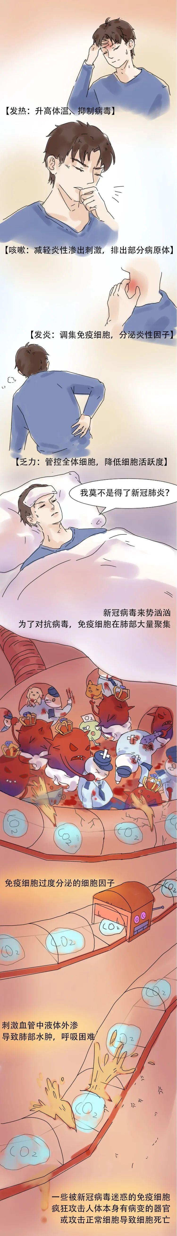 最萌手绘长图告诉你，免疫细胞和病毒战斗全过程！