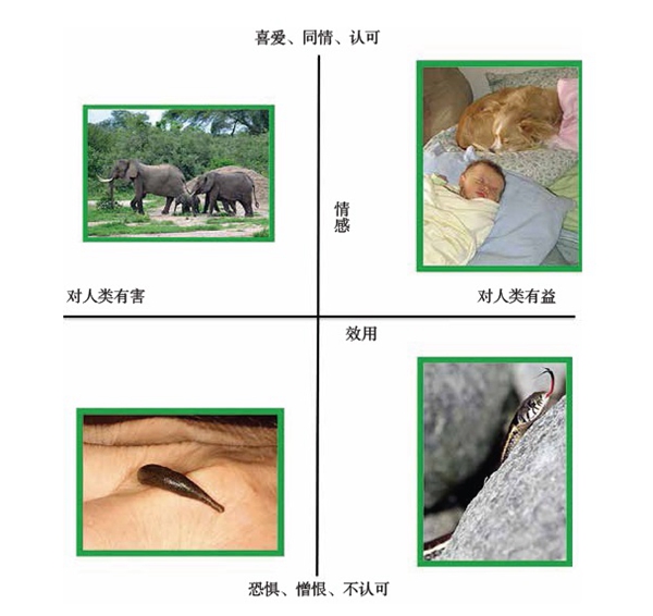 我们看待动物的态度可归结为两个维度:一是情感,二是效用