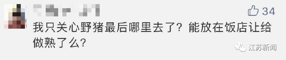 南京闹市区惊现野猪：景观河游泳 还多次强闯小