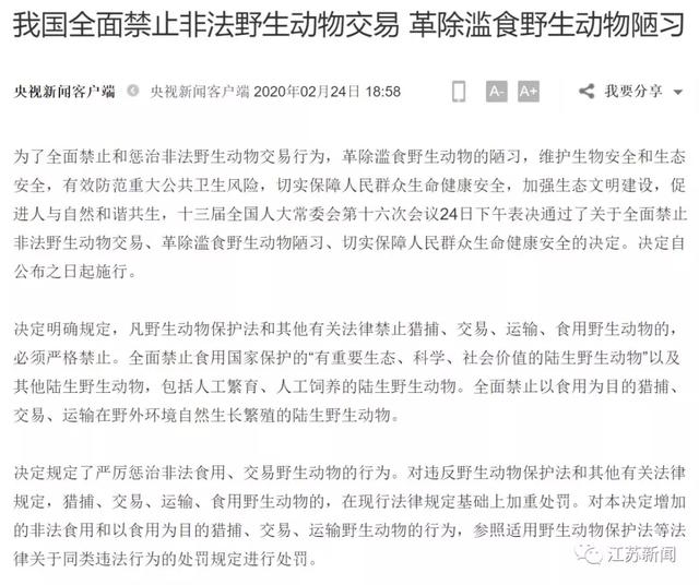 南京闹市区惊现野猪：景观河游泳 还多次强闯小