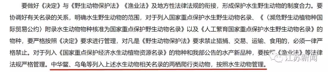 南京闹市区惊现野猪：景观河游泳 还多次强闯小