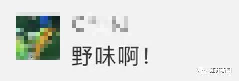 南京闹市区惊现野猪：景观河游泳 还多次强闯小