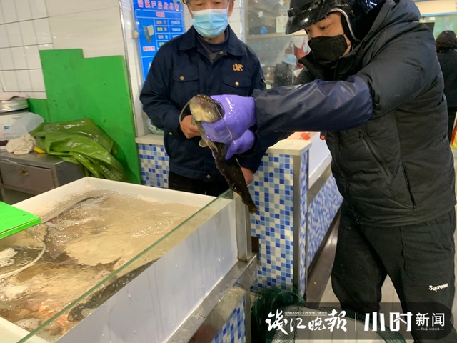 复工进行时|西湖渔亭今天开张,毛鲜毛鲜的白鲢、步鱼、河虾都有