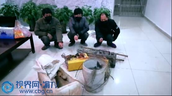 疫情下合伙电捕鱼 “望风者”同罪受罚