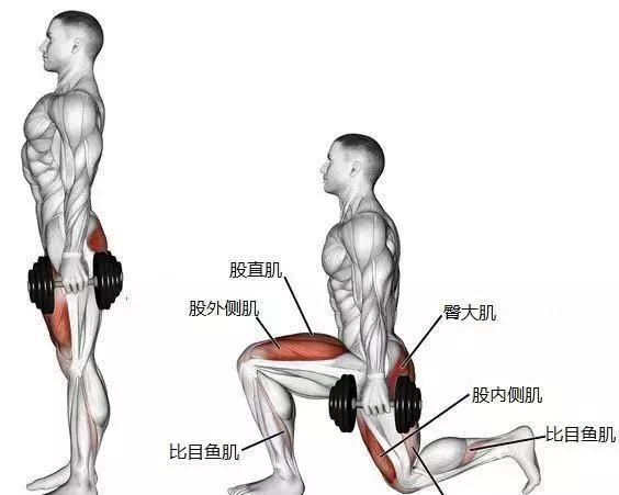 为什么要多做箭步蹲?每天100个箭步蹲,会发生什么?
