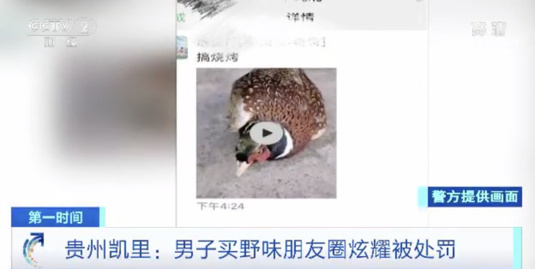 拍鸟发朋友圈 8cbf-iqrhckm6853156.jpg