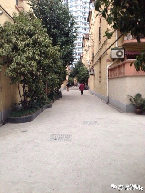 阮玲玉:神女在女神节这一天离去