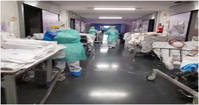 海外华人抗疫 0c40-isehnni5925796.png