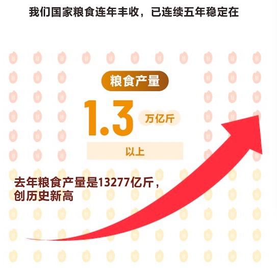 疫情冲击全球粮食安全 中国何以临危不惧?