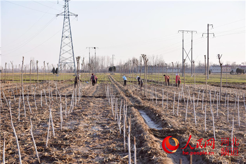 定州大辛庄镇人口_定州大辛庄村美女