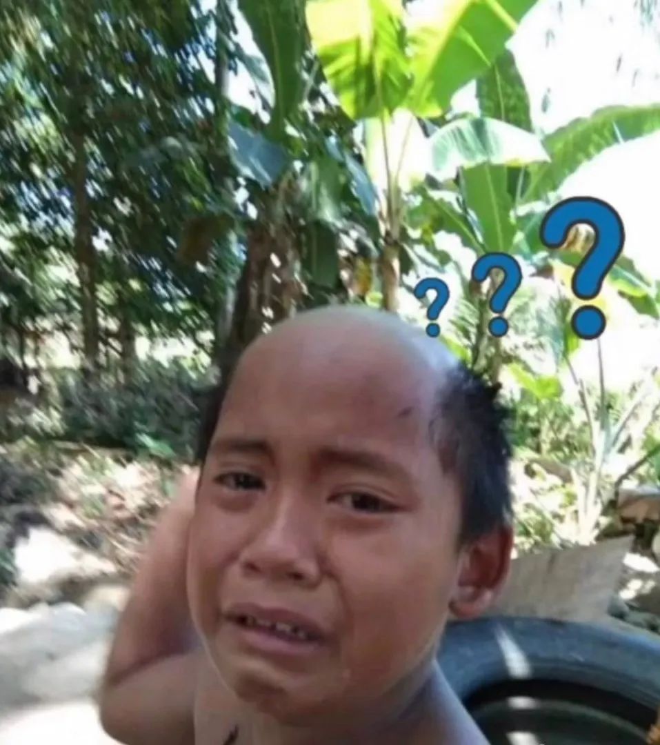 印度人口发型_印度人口图片(3)