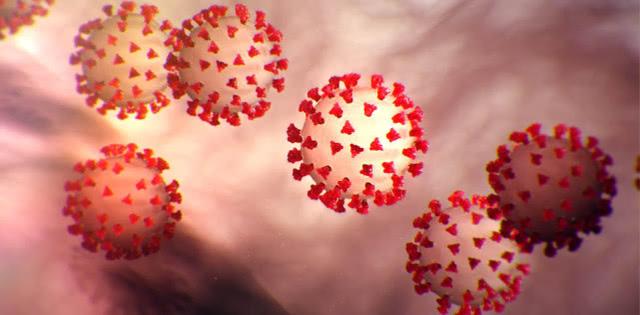 伊朗“神医”称骆驼尿可治新冠：一天3次 最好趁