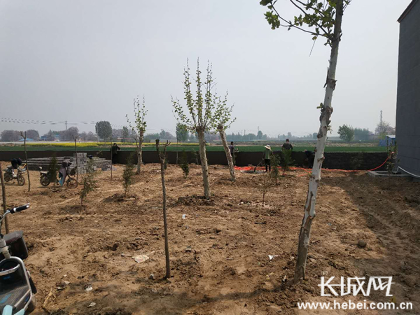 魏家庄镇人口_孟庄镇郑屯人口