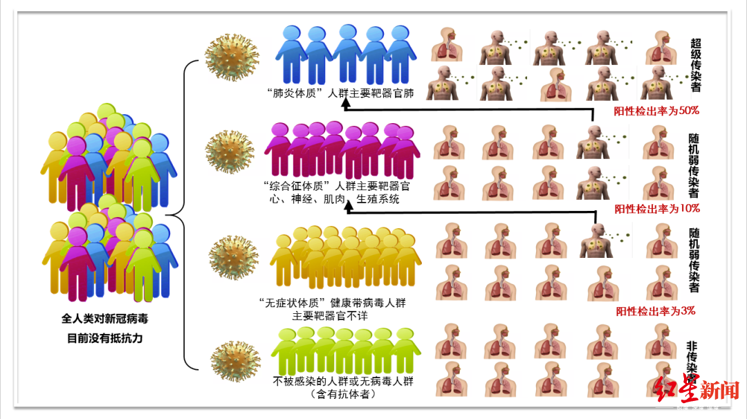 ↑丁虹 图据健康时报