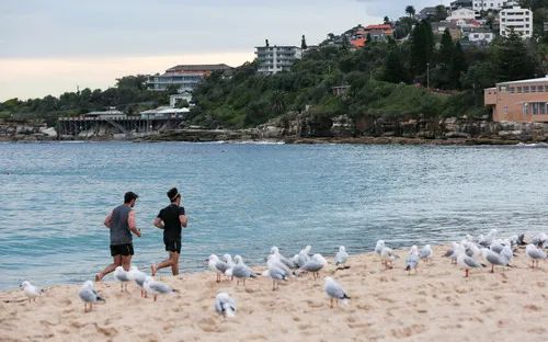  4月20日，人们在澳大利亚悉尼的库吉海滩跑步。新华社记者 白雪飞 摄