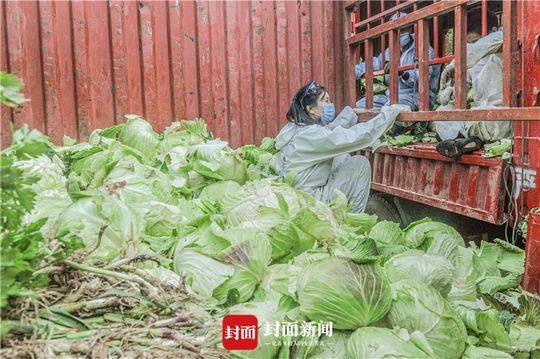 自愿者转运蔬菜