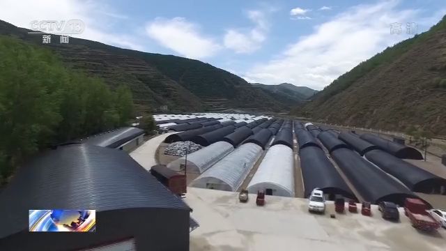 宕昌人口_宕昌政务(2)