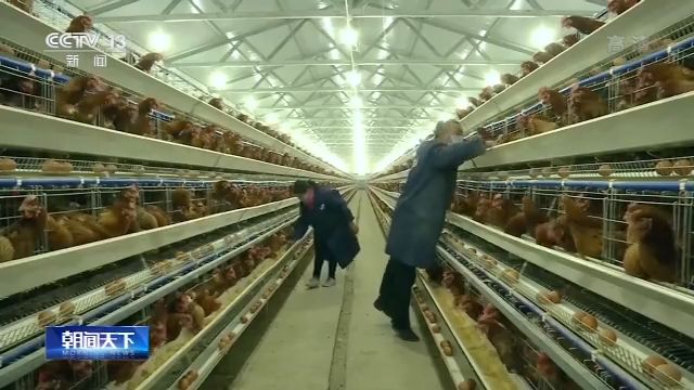 2020年宕昌县人口有多少人