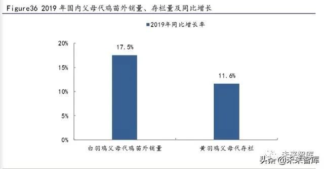 生猪价格今日行情报道 d5d9-itriatr6640189.jpg