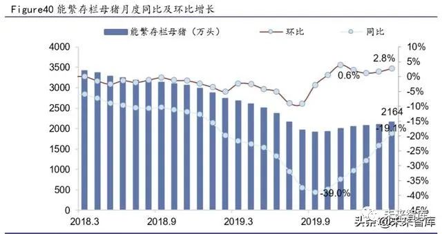 生猪价格今日行情报道 6028-itriatr6640361.jpg
