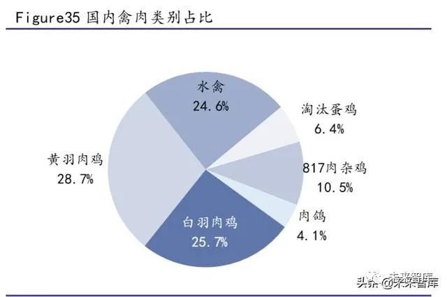 生猪价格今日行情报道 066b-itriatr6640131.jpg