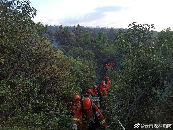 云南晋宁发生森林火灾 正全力扑救