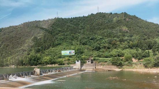 浙江绿水青山。 钱晨菲 摄