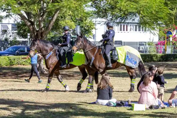 ���ľ�����ǿ��ͷѲ��