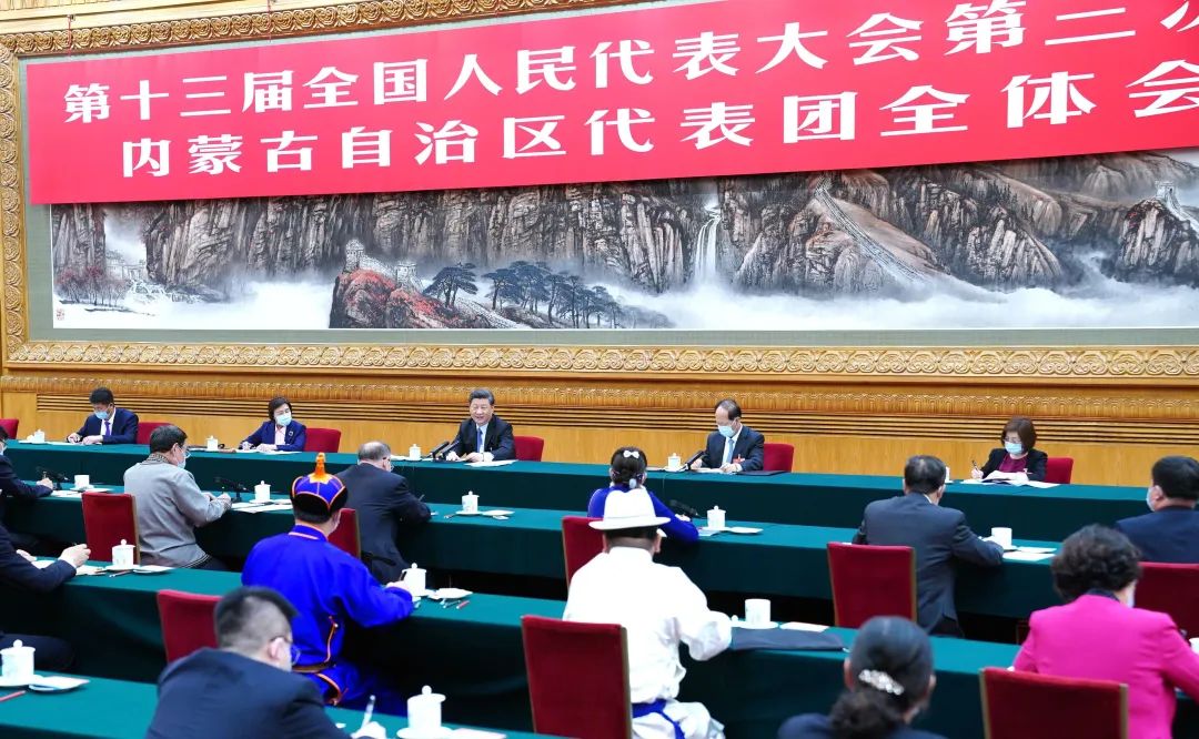 2020年5月22日,习近平参加十三届全国人大三次会议内蒙古代表团的审议。新华社记者 谢环驰 摄