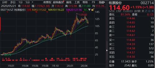 2c03-itzixrs7270783.jpg