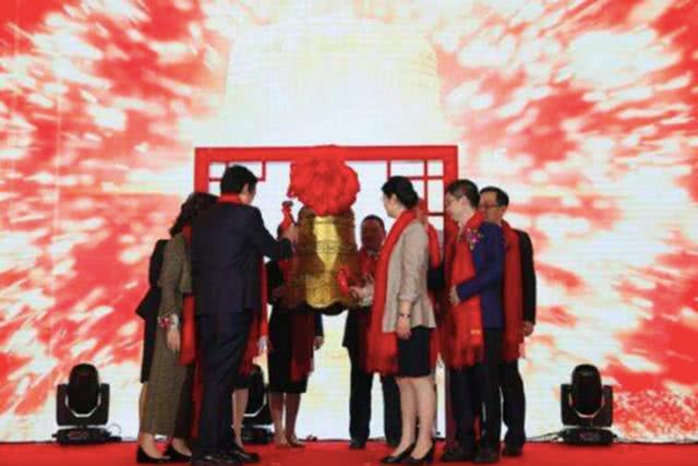 深圳华盛昌科技，深圳华盛昌科技股份有限公司 第2张