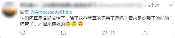 中国驻法大使馆:有人假冒我馆官方帐号发布不