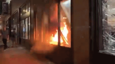 美国参与示威的黑人们自己也开始杀无辜的平民了!