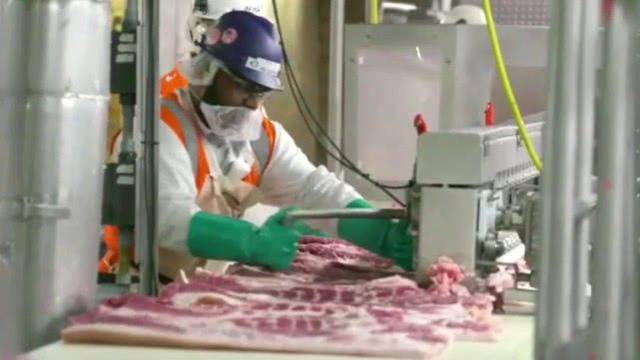 美国一肉类工厂116人感染 员工害怕失业生病了也