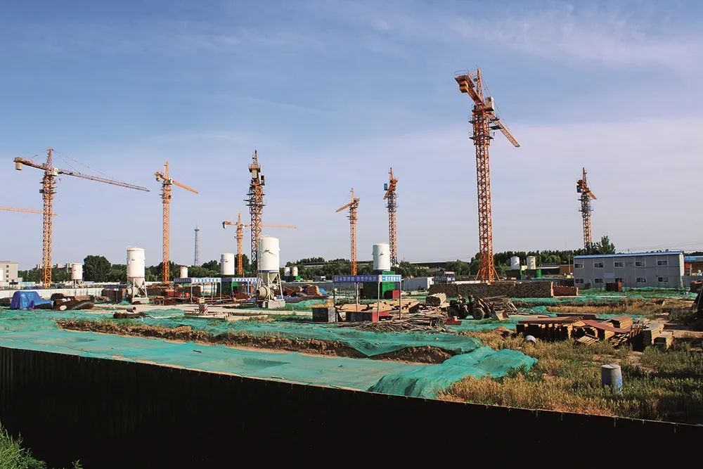 5月27日,山东东阿县贺寺村等拆迁后的安置房建设工地,目前长满荒草,立了多个塔吊,正处于停工状态。摄影/本刊记者 周群峰