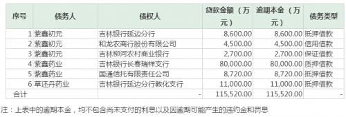 紫鑫药业债务逾期 :合计金额已达11.552亿元 上年末有息负债已超50亿元