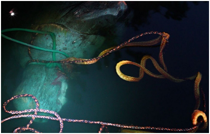 又倒一座！美国示威者拆除哥伦布雕像：纵火并