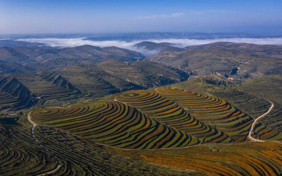 固原彭阳县梯田。 觉/视图中国。