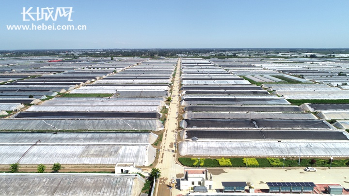 饶阳县人口_饶阳县地图(2)