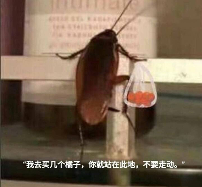 恶搞朋友 蟑螂视频,恶搞朋友 蟑螂视频大全