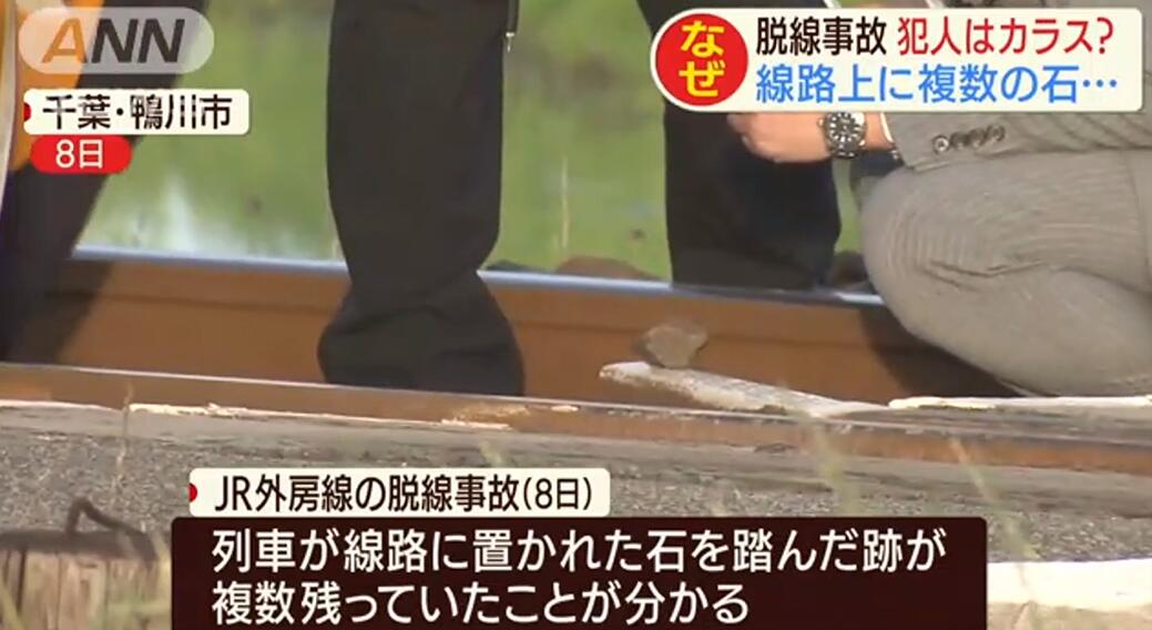 在铁轨放石块引列车脱轨 日本小学生承认犯案