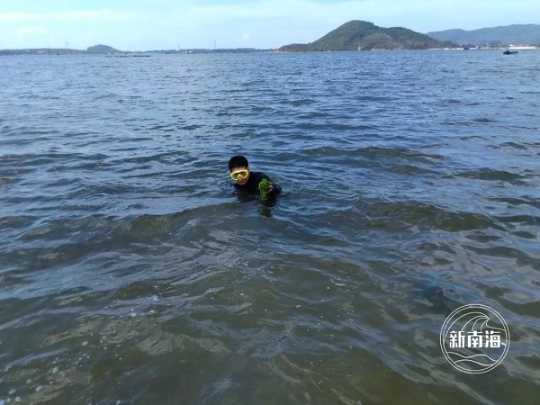 △图为潜水摸查海草床漫衍界限