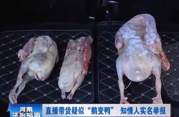 上了河南法治频道的平荣