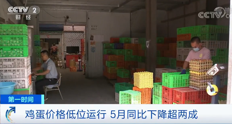 鸡蛋价格降了!6月蛋价还能“蛋”定吗