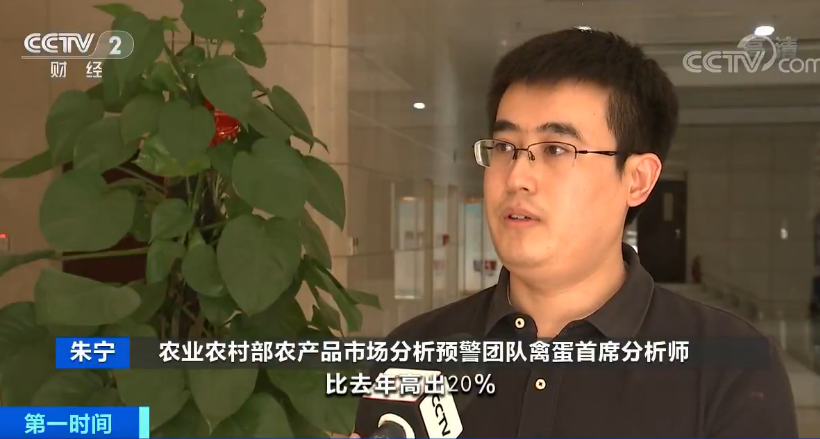 鸡蛋价格降了!6月蛋价还能“蛋”定吗